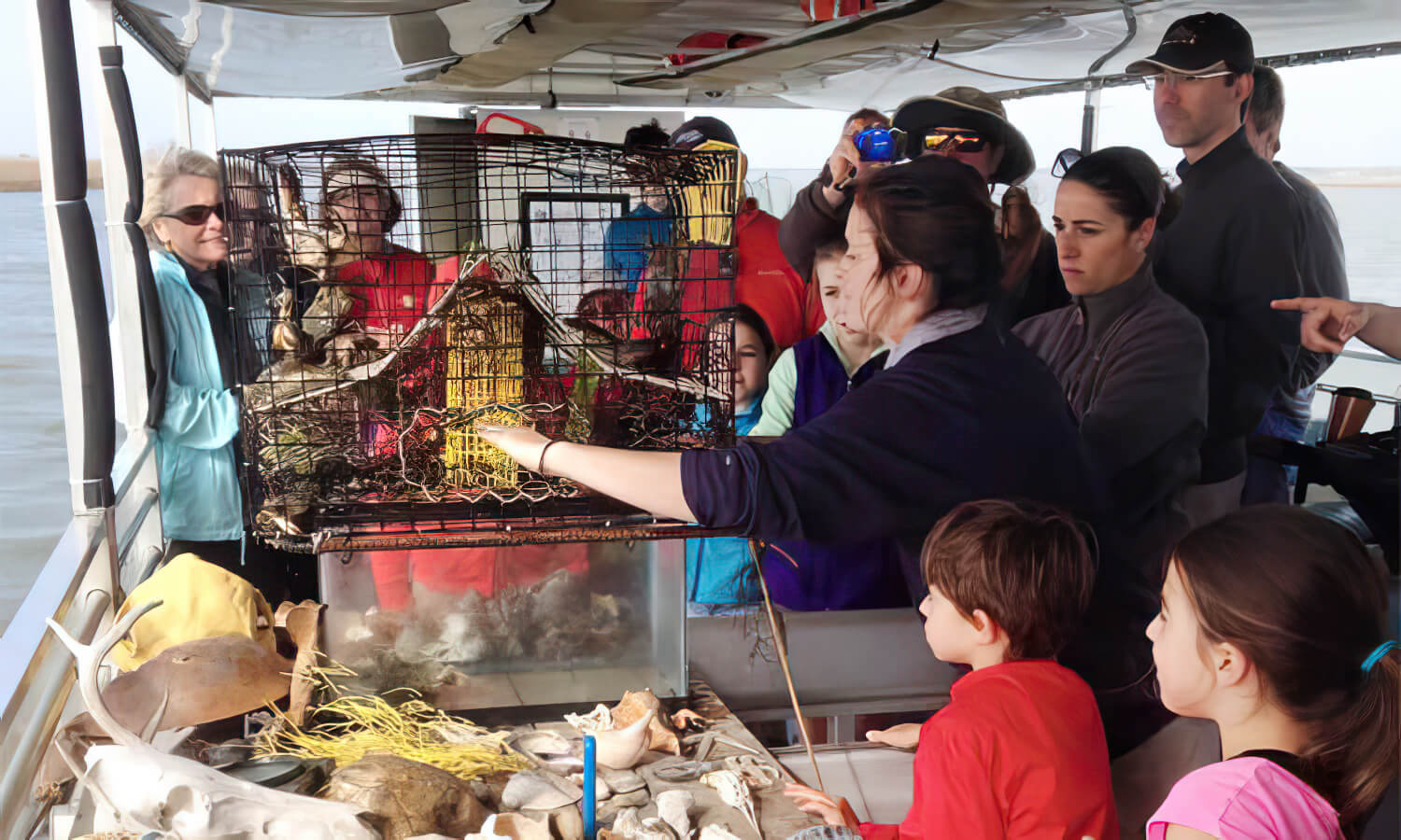 Hijinks Discover Life Experiences & Local Activities